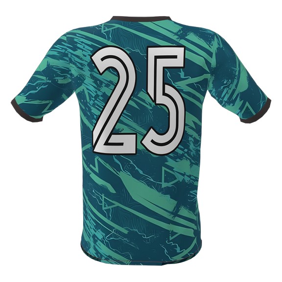 010-team-shirt-back-!S